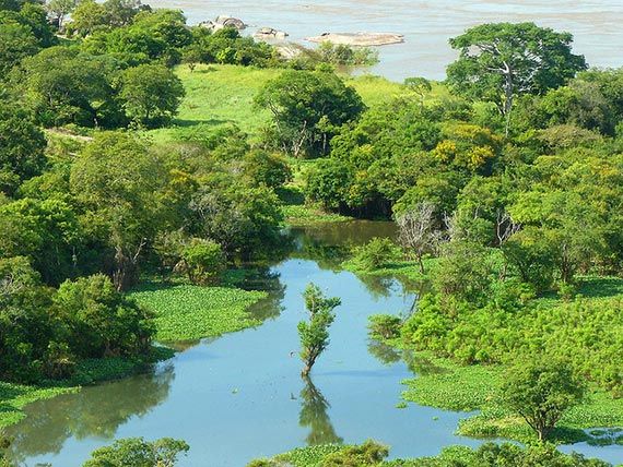 Pequeño Caño Rio Orinoco, Amazonas. Foto: Don Perucho/flickr
